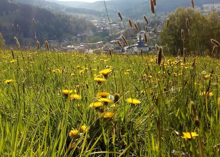 Ferienwohnung Döhlerwald