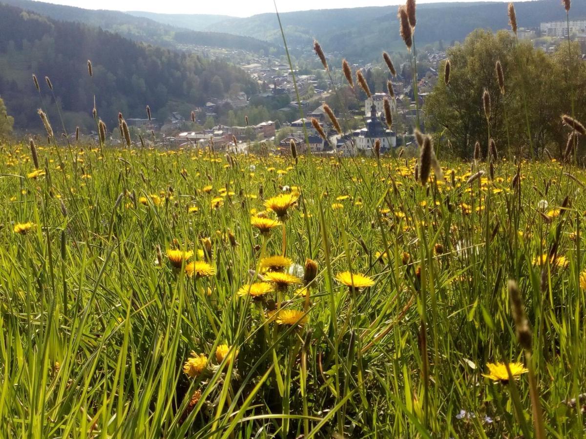 Apartment Doehlerwald Klingenthal
